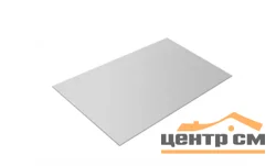 Плоский лист PE RR 21 (светло-серый), 0.5мм ГОСТ (Satin), 1.25*2м