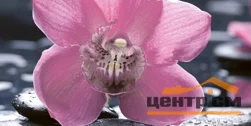 Плитка НЕФРИТ Орхидея черный декор 25*50 арт.10-04-04-162-1