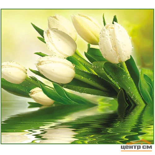 Фотообои ТУЛА VIP Белые тюльпаны 294/260 12 листов VOSTORG COLLECTION