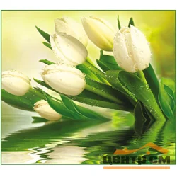Фотообои ТУЛА VIP Белые тюльпаны 294/260 12 листов VOSTORG COLLECTION