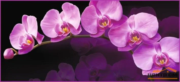 Фотообои ТУЛА VIP Зеркальная орхидея 294/134 6 листов VOSTORG COLLECTION