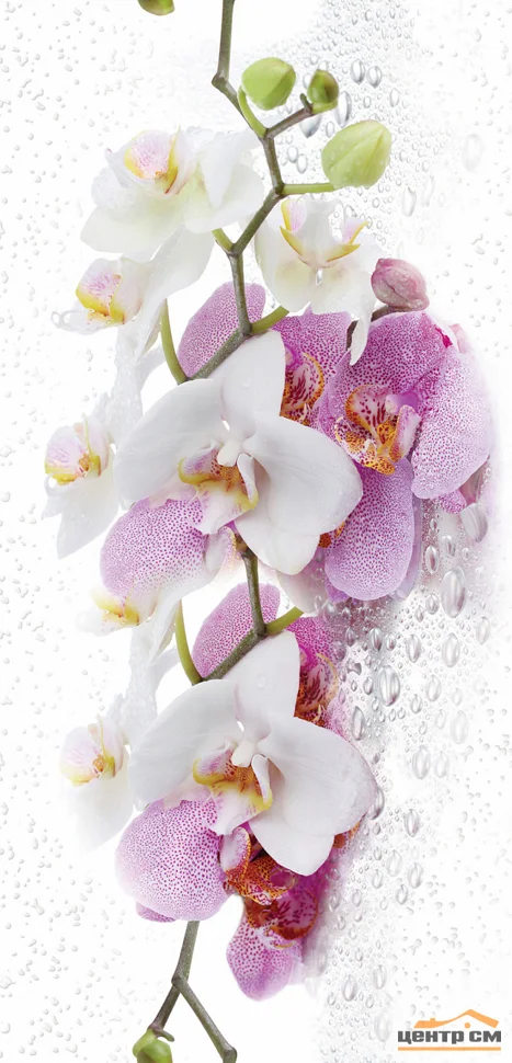 Панель ПВХ 0,25*2,7м Термопечать Букет орхидеи 0155 8мм