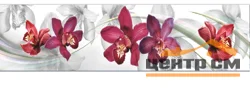 Панель-фартук АВС УФ-печать лак Цветы8 Орхидеи 3000*600*1,5мм Оптион
