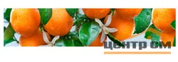 Панель-фартук АВС УФ-печать лак Душевная кухня13 Спелые мандарины 3000*600*1,5мм Оптион