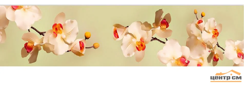 Панель-фартук АВС УФ-печать лак Цветы65 Нежные орхидеи 3000*600*1,5мм Оптион