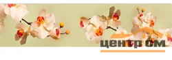 Панель-фартук АВС УФ-печать лак Цветы65 Нежные орхидеи 3000*600*1,5мм Оптион