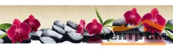 Панель-фартук АВС УФ-печать лак Цветы34 Красные орхидеи 2000*600*1,5мм Оптион