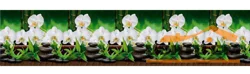 Панель-фартук АВС термоперевод Орхидеи белые № 443 2000*600*1,5мм Оптион