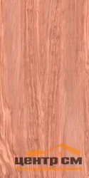 Керамогранит ProGRES Олива РR0070 полированный 30*60 коричневый средний