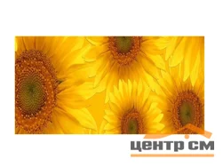 Панель-фартук АВС УФ-печать лак Цветы43 Золотые подсолнухи 2000*600*1,5мм Оптион