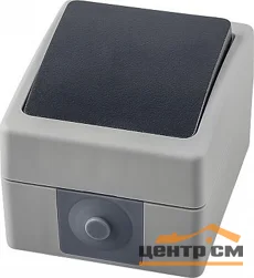 Выключатель одноклавишный ОП 250В, 10А, серый/графит (PSW10-111-54) STEKKER