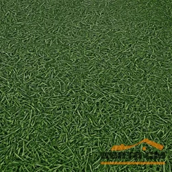 *Линолеум IVC NEO Grass 25 (4м) ПОД ЗАКАЗ,КРАТНО РУЛОНУ