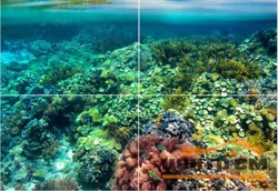 Плитка КЕРАМИН Вэйв Декор Коралловый риф 800х550 панно (комплект из 4шт)