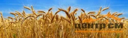 Панель-фартук АВС УФ-печать лак Пшеница 3000*600*1,5мм Оптион