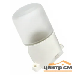 Светильник ЭРА НББ 01-60-002 для бани пластик/стекло наклонный IP65 E27 max 60Вт 158х116х85 белый