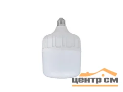 Лампа светодиодная 30W Е27/E40 170-265V 4000K (белый) Т100 Фарлайт