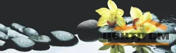 Панель-фартук АВС УФ-печать лак Цветы7 Орхидеи в воде 2000*600*1,5мм Оптион