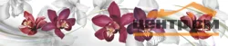 Панель-фартук АВС пластик Цветы8 Орхидеи 2000*600*1,5мм Центурион