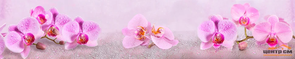 Панель-фартук АВС УФ-печать лак Цветы122 Грациозные орхидеи 3000*600*1,5мм Оптион