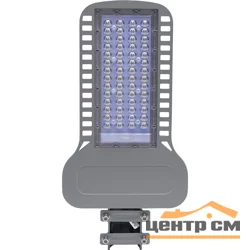 Светильник светодиодный уличный консольный Feron 100W - 5000K AC230V/ 50Hz цвет СЕРЫЙ (IP65) диам.40-60мм, SP3050
