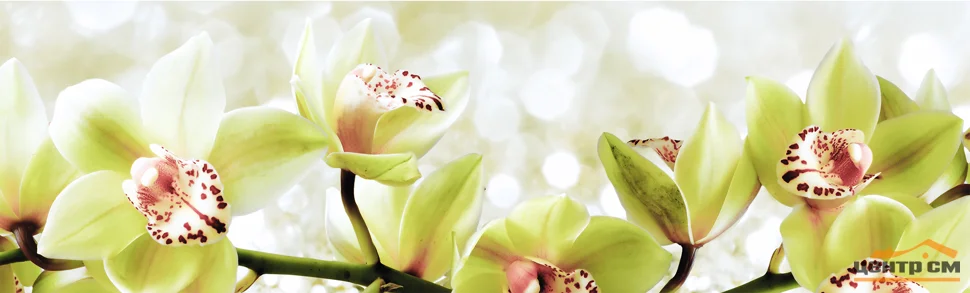 Панель-фартук АВС УФ-печать лак Цветы121 Зеленые орхидеи 2000*600*1,5мм Оптион