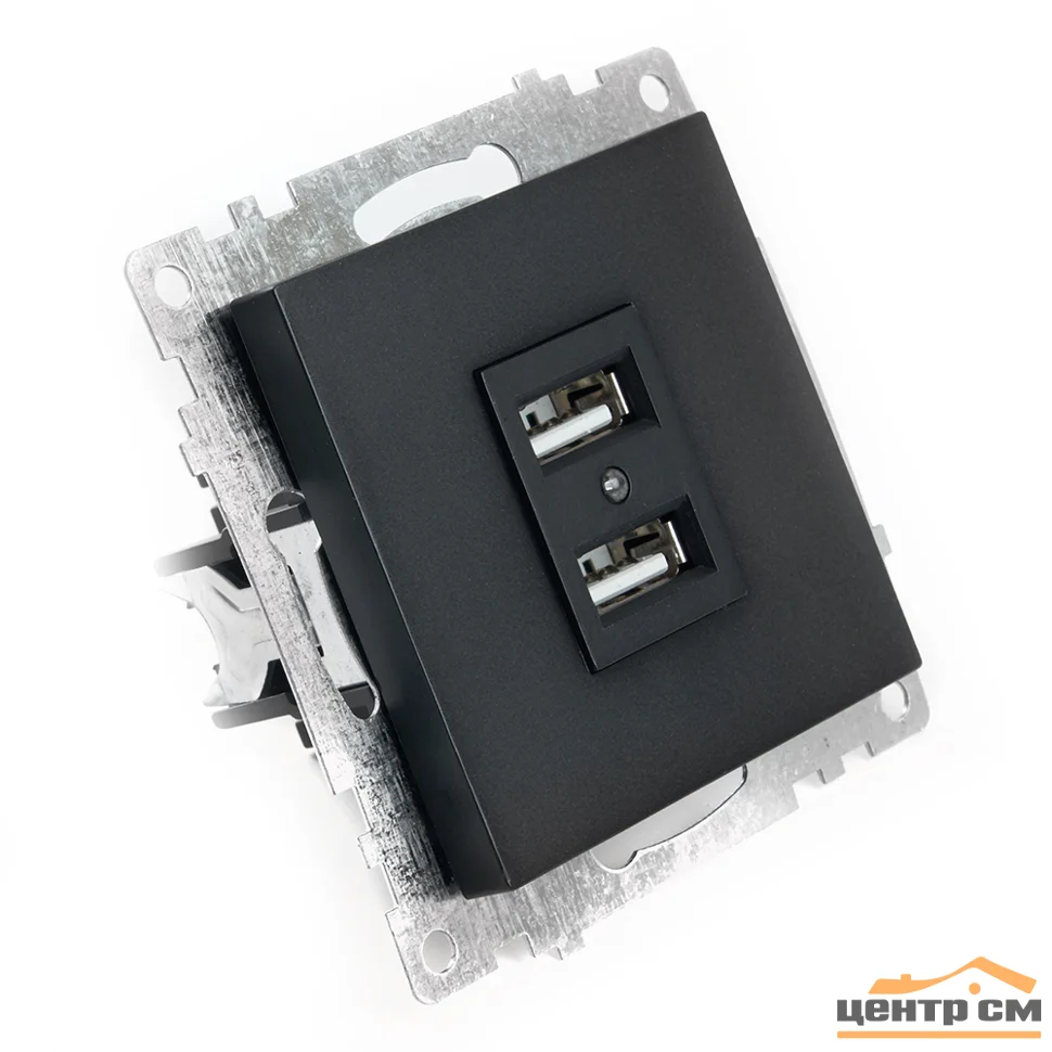 Розетка USB 2-местная (механизм) СП Stekker Катрин 250В, 2,4А (GLS10-7115-05) черный