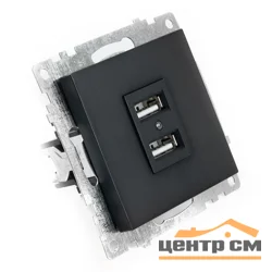 Розетка USB 2-местная (механизм) СП Stekker Катрин 250В, 2,4А (GLS10-7115-05) черный