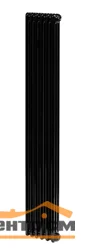 Радиатор TESI 21800/06 Т30 3/4"" cod.10 (RAL9005 черный)