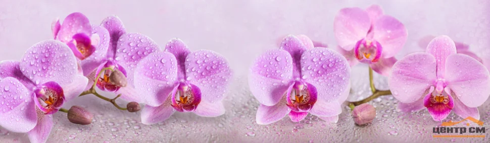 Панель-фартук АВС УФ-печать лак Цветы122 Грациозные орхидеи 2000*600*1,5мм Оптион