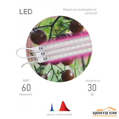 Светильник модульный для растений и рассады ЭРА FITO-3х10W-LINE-RB90 красно-синего спектра 30 Вт