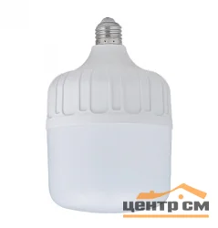 Лампа светодиодная 30W Е27/E40 170-265V 6500K (дневной) Т100 Фарлайт