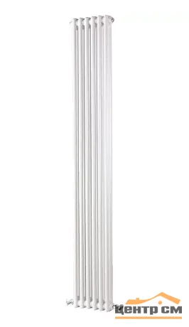 Радиатор TESI 22000/10 CL.01 T30 (белый)