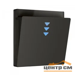 Накладка для электронного карточного выключателя Werkel черный матовый, W1163108