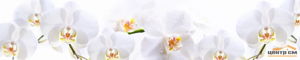 Панель-фартук АВС пластик фотопечать Белые орхидеи в каплях 3000*600*1,3мм ПАНЕЛЬПЛАСТ ЛАЙТ