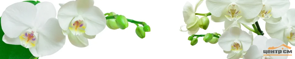 Панель-фартук АВС пластик фотопечать Орхидеи 2000*600*1,3мм ПАНЕЛЬПЛАСТ ЛАЙТ