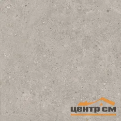 Керамогранит KERAMA MARAZZI Риккарди серый светлый матовый обрезной 60x60мм арт.SG653720R