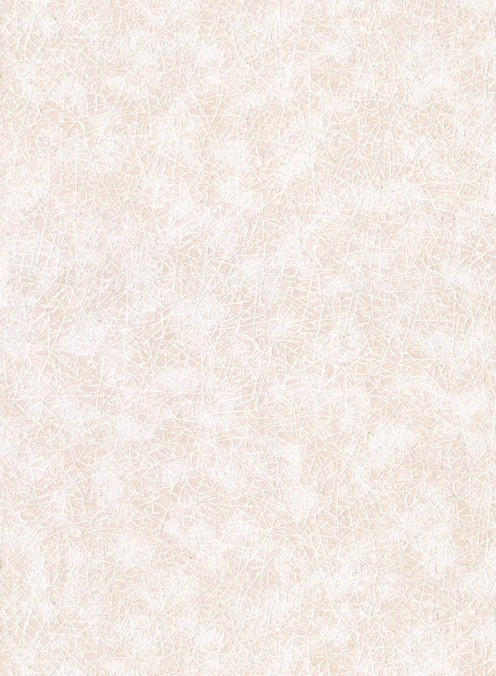 Обои VILIA арт.1847-61 вспененный винил на бумажной основе 0,53*10,05м Паутинка декор (эксклюзив)