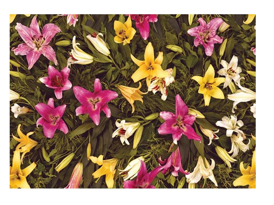 Клеенка ПВХ FLORISTA на нетканой основе с печатным рисунком 1,4х20м 018-01