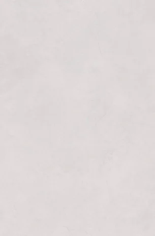 Керамогранит REALISTIK Fog Bianco Matt Carving 60x120