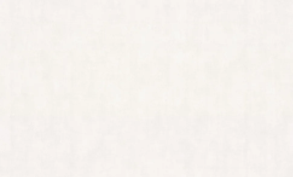 Обои Palitra Family арт.FM72591-14 виниловые горячего тиснения на флизелиновой основе 1,06*10м Alberta фон Обои Palitra Family арт.FM72591-14 виниловые горячего тиснения на флизелиновой основе 1,06*10м Alberta фон