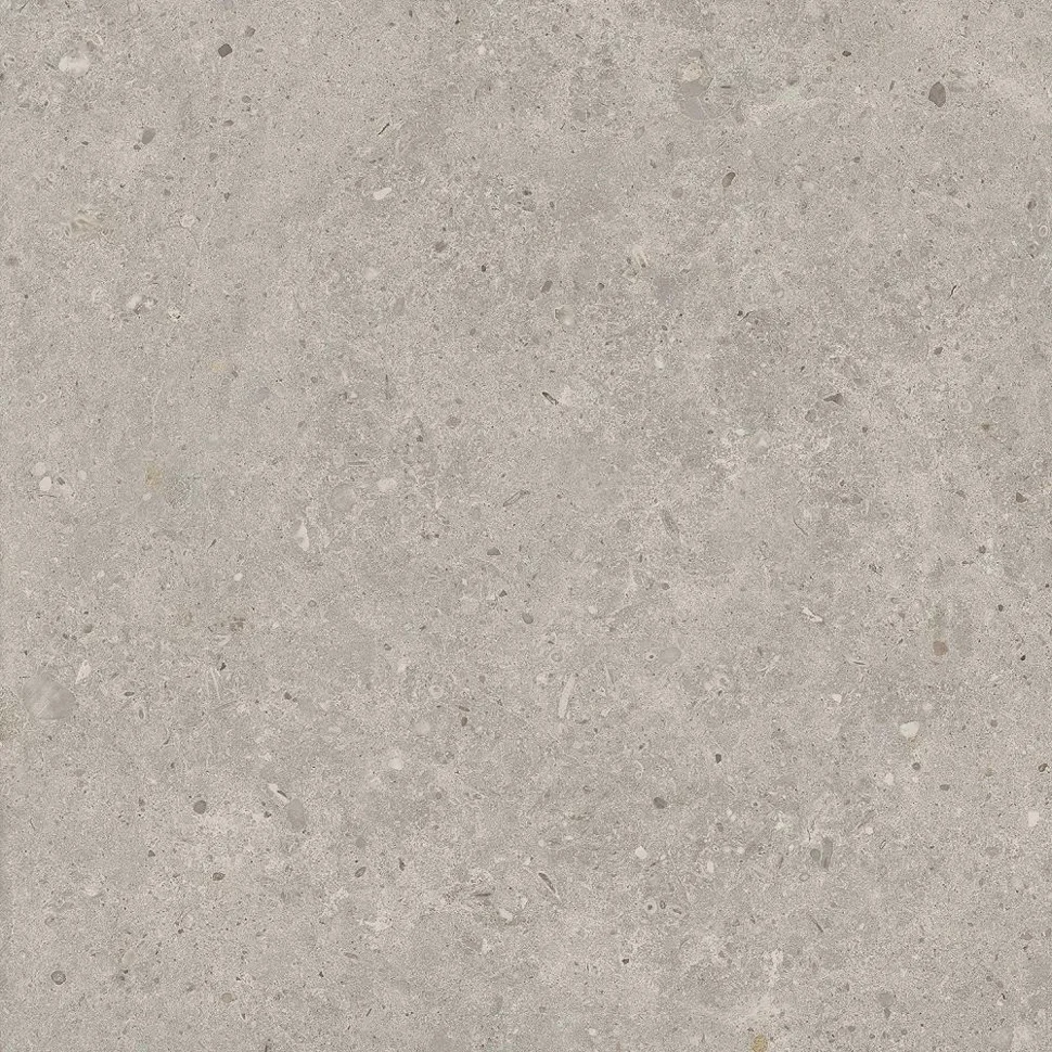 Керамогранит KERAMA MARAZZI Риккарди серый светлый матовый обрезной 60x60мм арт.SG653720R