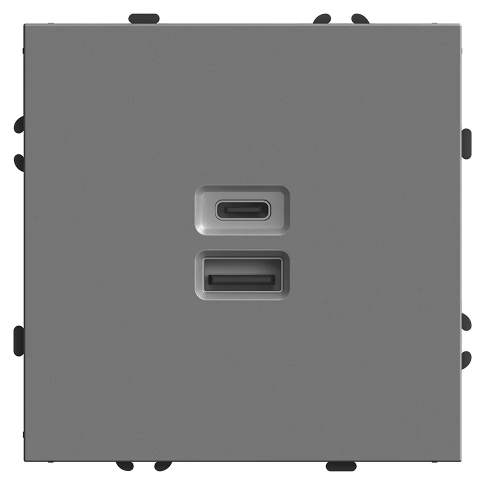 Розетка USB+Type С 2-местная (механизм) СП Stekker Эмили, 250В, 20W, (RST10-5115-10) платиново-серый, soft touch