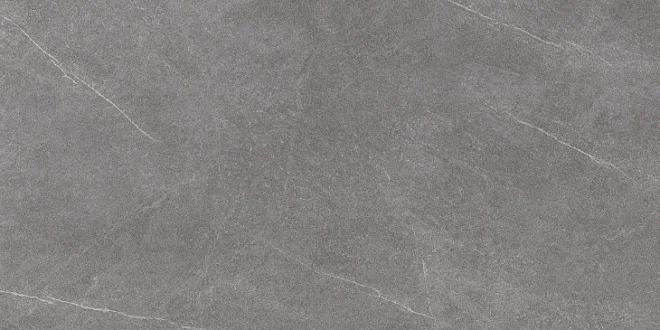 Керамогранит KERAMA MARAZZI Роверелла пепельный обрезной 119,5x238,5x11 арт.DL590500R