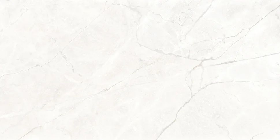 Керамогранит LAPARET Connect Pearl светло-серый 59.5х119,1 матовый арт. SG50004720R