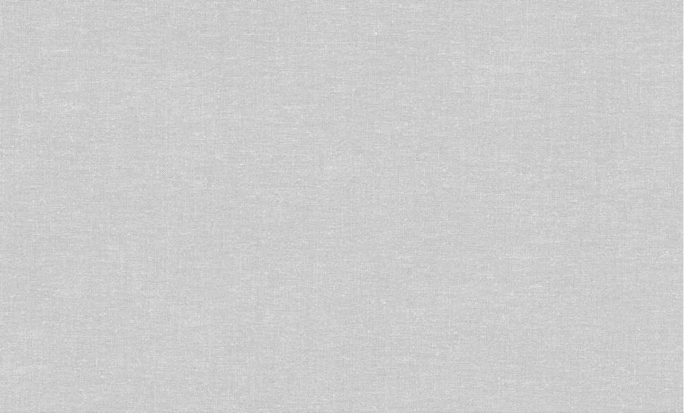 Обои ATELIERO арт.285147 виниловые горячего тиснения на флизелиновой основе 1,06*10м Textura фон