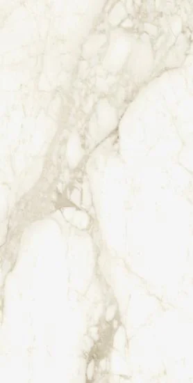 Керамогранит COLISEUM GRES МИКЕЛАНДЖЕЛО ВОРМ 60X120 РЕТ