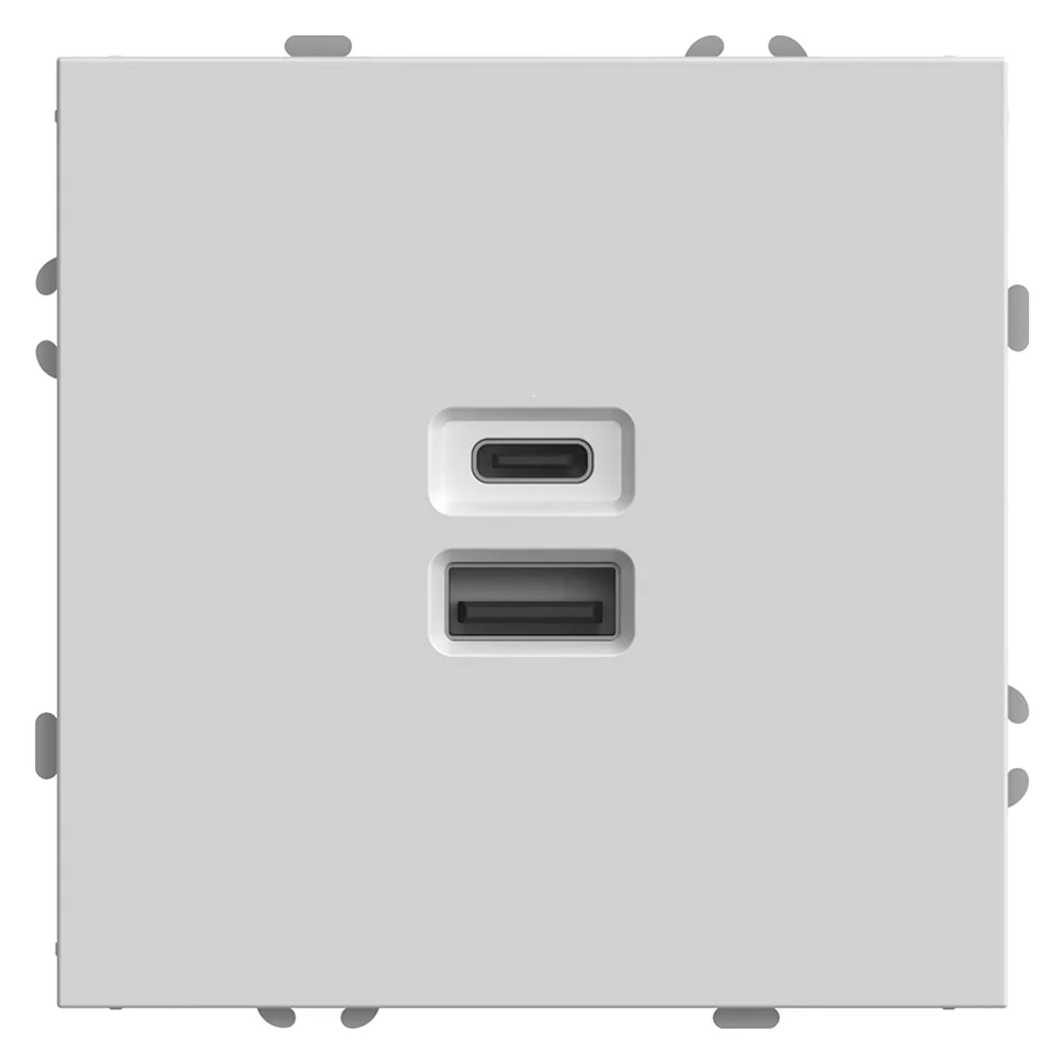 Розетка USB+Type С 2-местная (механизм) СП Stekker Эмили, 250В, 20W, (RST10-5115-01) белый фарфор, soft touch