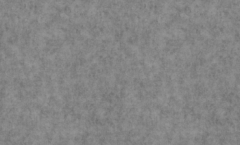 Обои P+S арт.12232-29 виниловые горячего тиснение на флизелиновой основе 1,06*10м Elysium фон