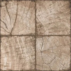 Керамогранит New Trend Ringwood Tik Brown 410*410 арт.GP6RIT21