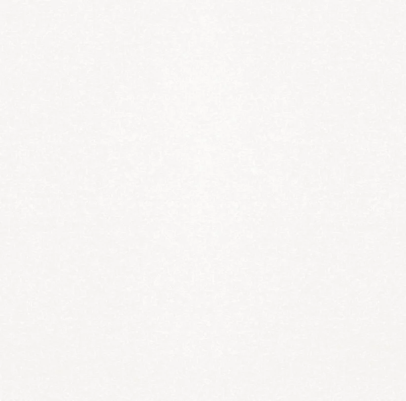 Керамогранит GRACIA CERAMICA Monocolor sugar white PG 01 450x450